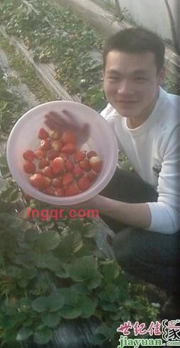 (晨光)的第1张照片