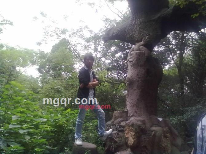 MC金专的第4张照片