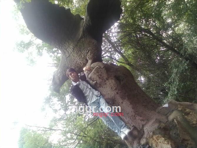 MC金专的第3张照片