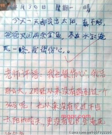 油菜花开花落的季节的第1张照片