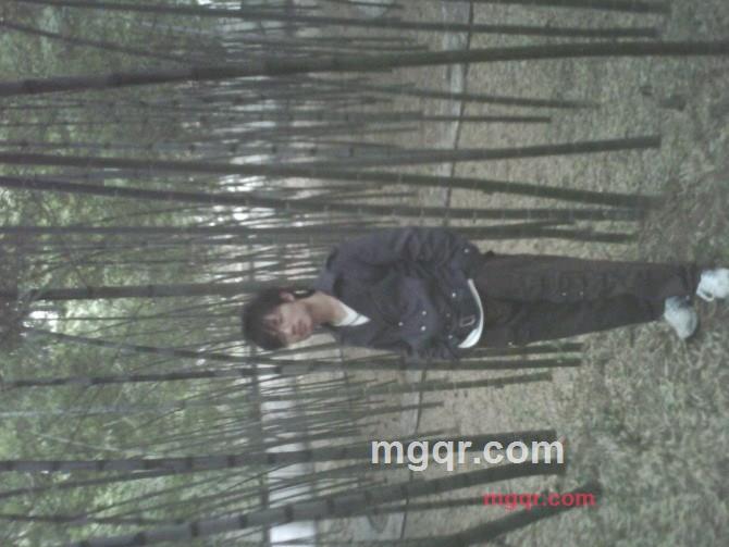 晨曦520的第1张照片