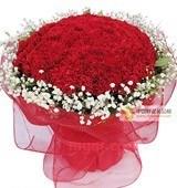 下一个童话的第1张照片