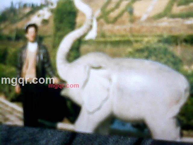 心软的第1张照片