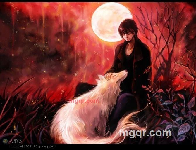 ty阿力的第9张照片