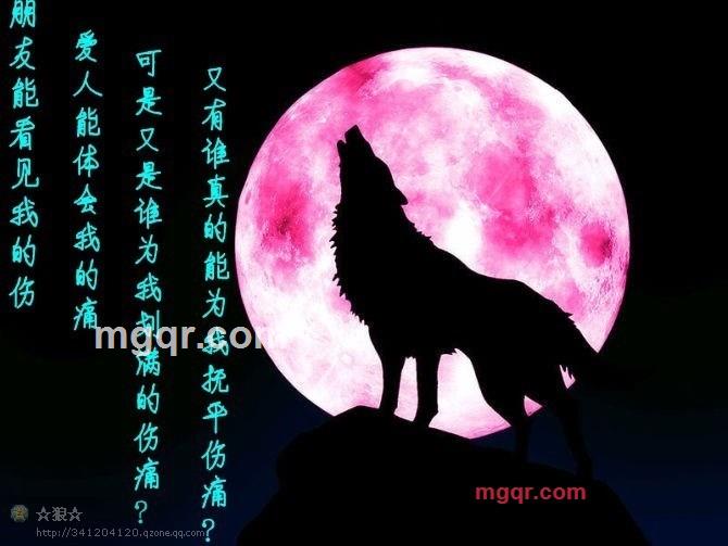 ty阿力的第7张照片