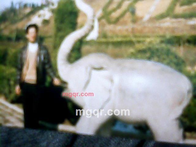 心灵好的第1张照片