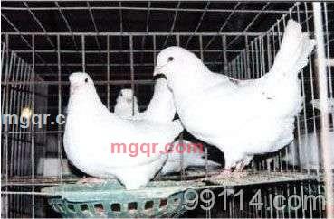 情哦的第6张照片