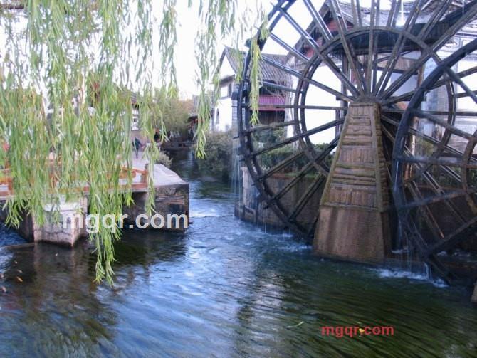 情哦的第4张照片