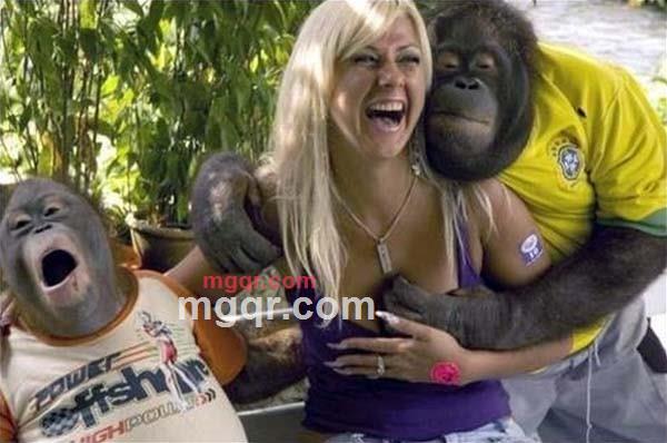 caoyuanlang123的第1张照片