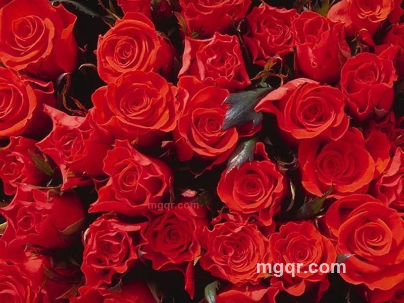 萧弑的第1张照片