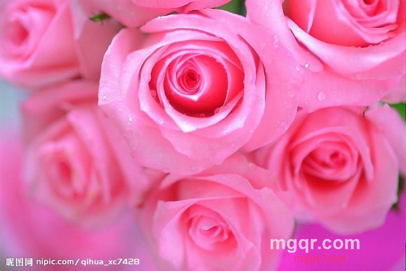 仙草666的第1张照片