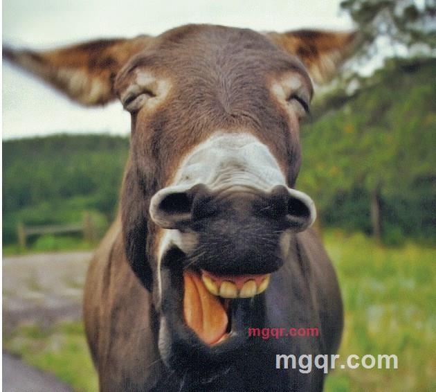 li_xiaoyao的第1张照片