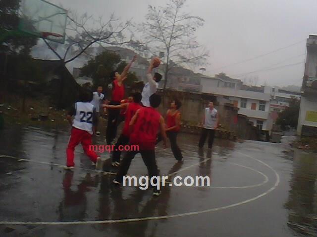 对园渴望的第1张照片