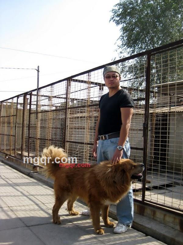 人生的枷锁的第2张照片