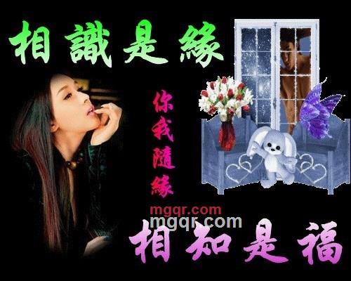 我情为何物的第1张照片