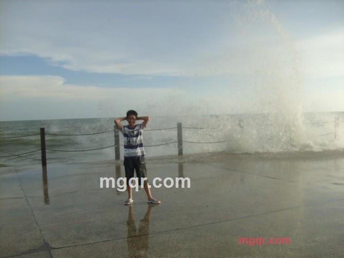 一叶知春的第1张照片