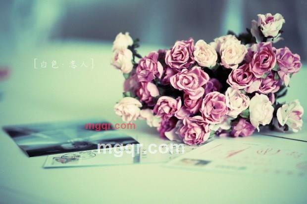 天亮以后Say 拜的第1张照片