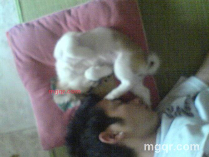 忧郁款爷的第3张照片