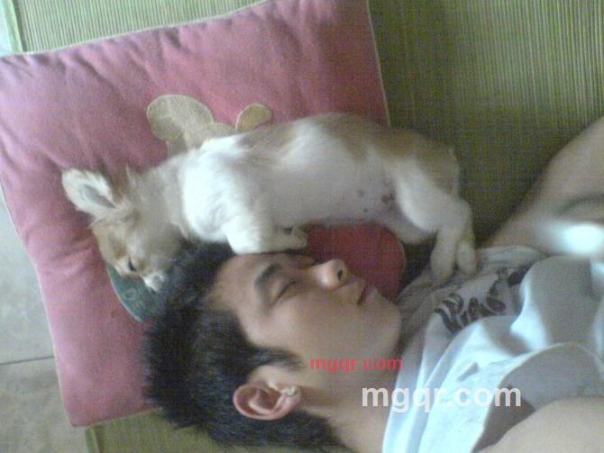 忧郁款爷的第2张照片