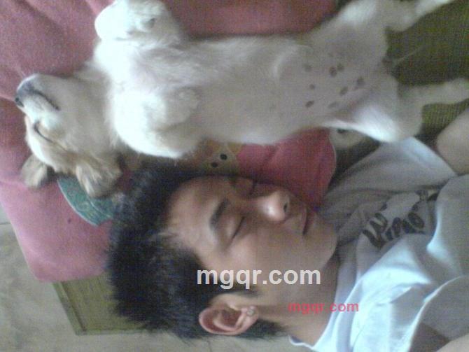 忧郁款爷的第1张照片