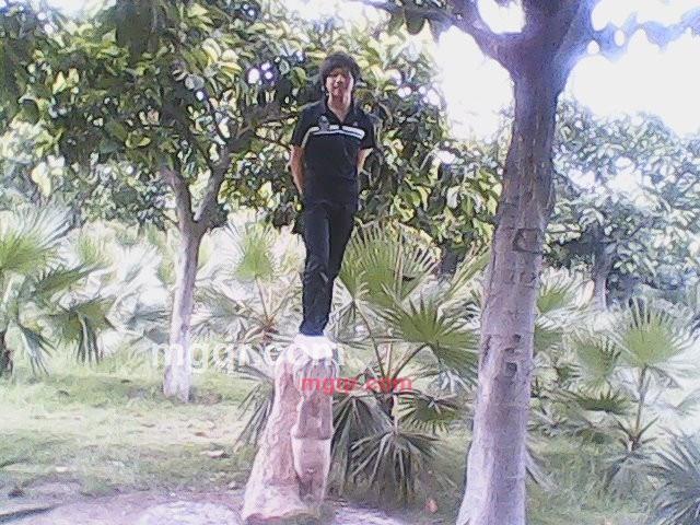 洪小波的第2张照片