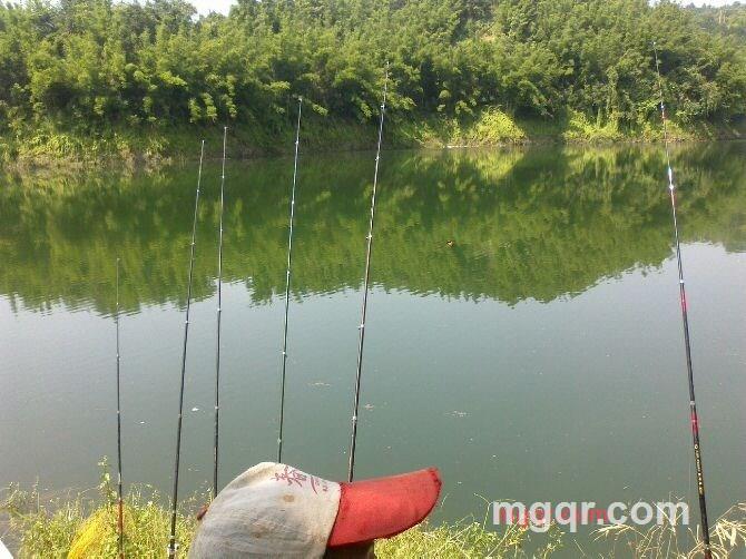 狼的@诱惑的第1张照片