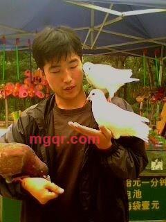 超超的记忆往事的第6张照片