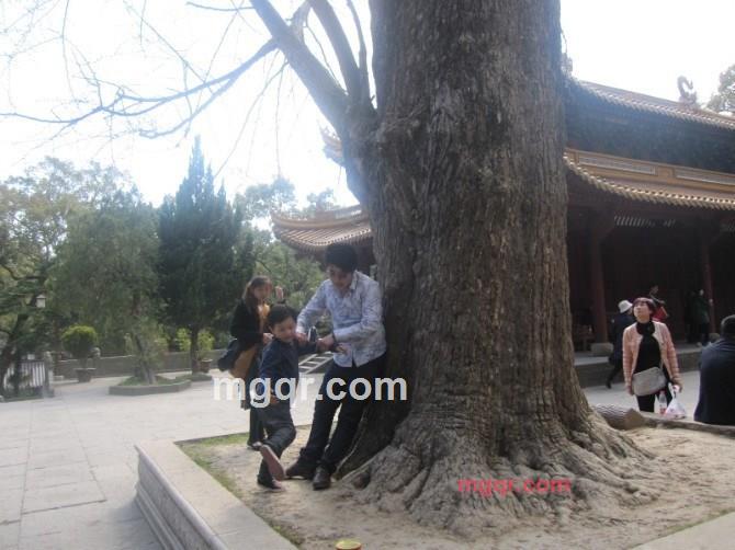 简单一点.在简单一点.的第7张照片