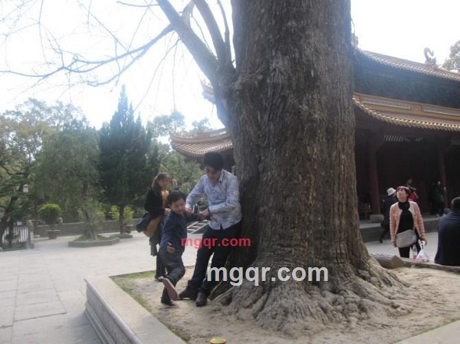 简单一点.在简单一点.的第6张照片