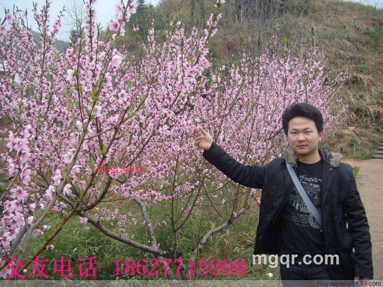 七剑下面条的第1张照片