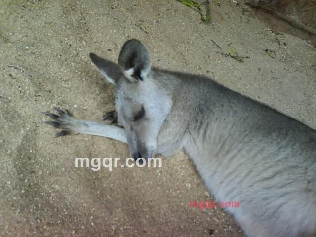 wataru777的第5张照片