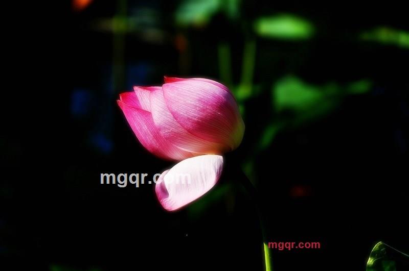 寂静的晓华的第18张照片