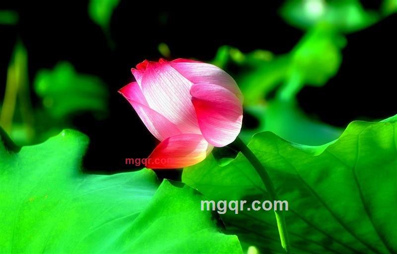 寂静的晓华的第16张照片