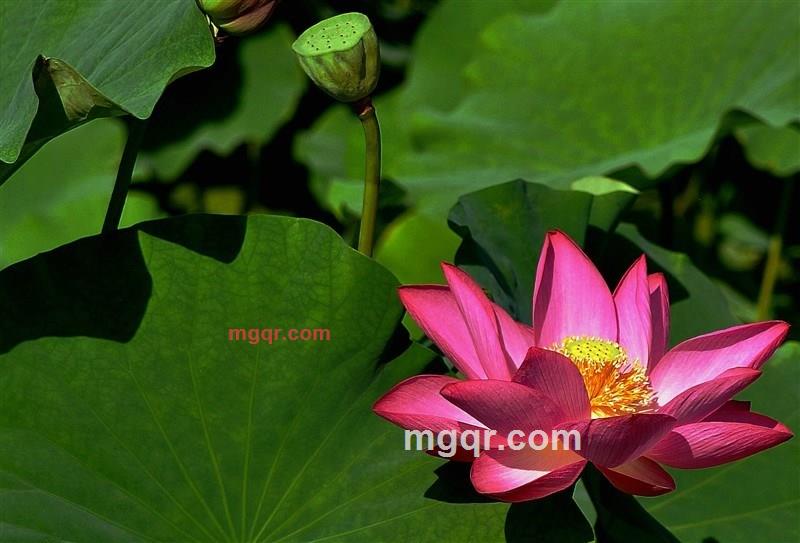 寂静的晓华的第14张照片