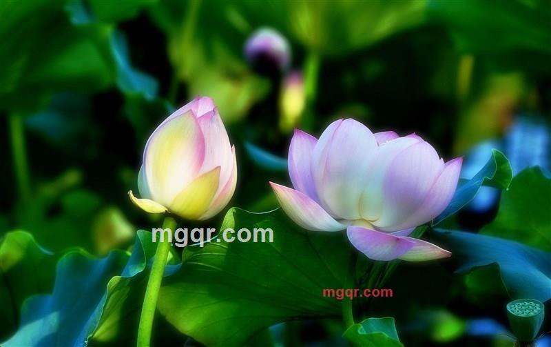 寂静的晓华的第15张照片