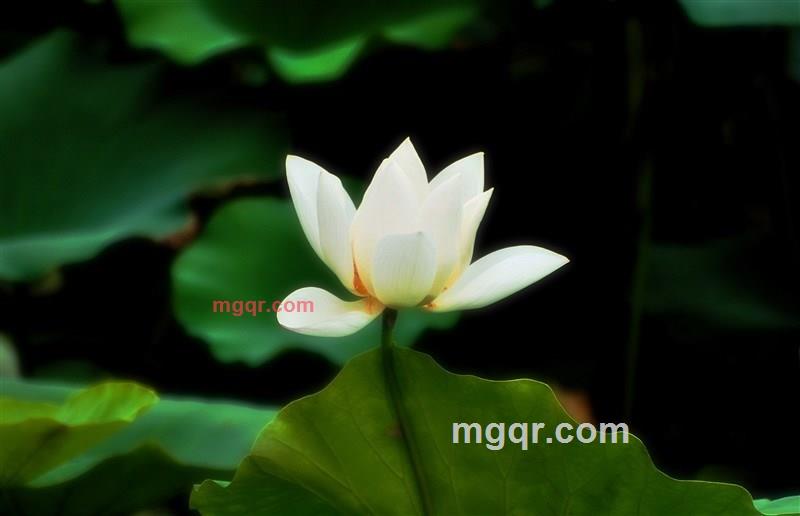 寂静的晓华的第9张照片