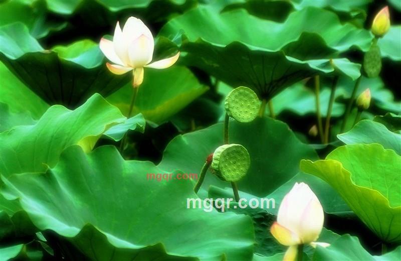 寂静的晓华的第8张照片