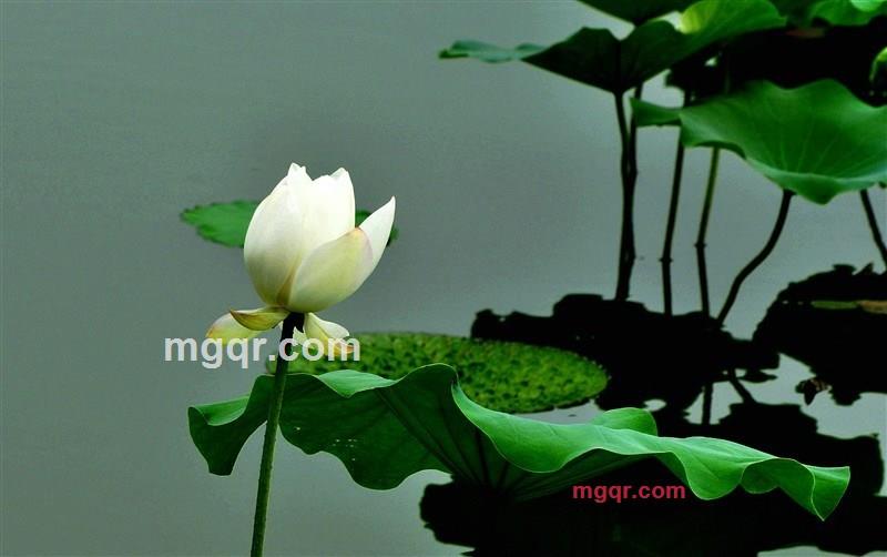 寂静的晓华的第7张照片