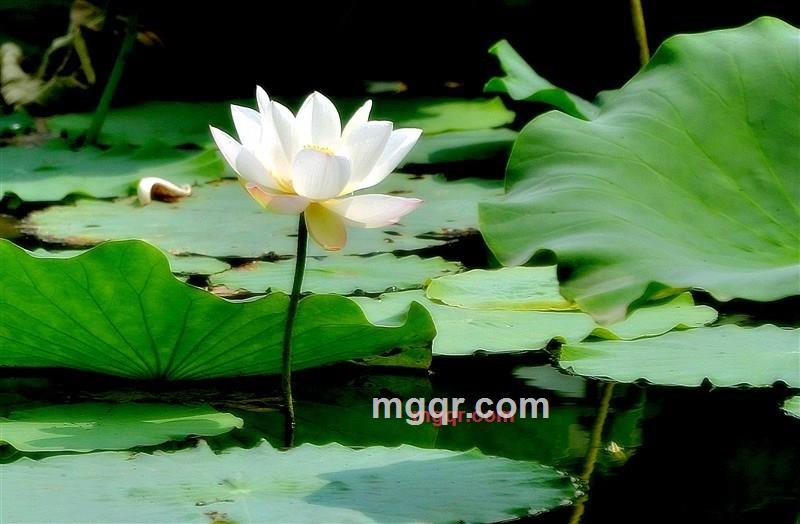 寂静的晓华的第5张照片