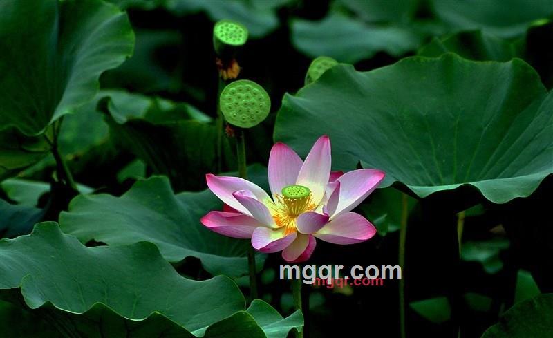 寂静的晓华的第3张照片