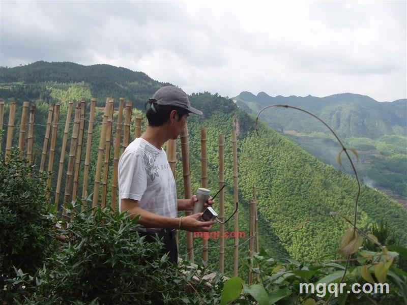 铁铮沪男的第4张照片