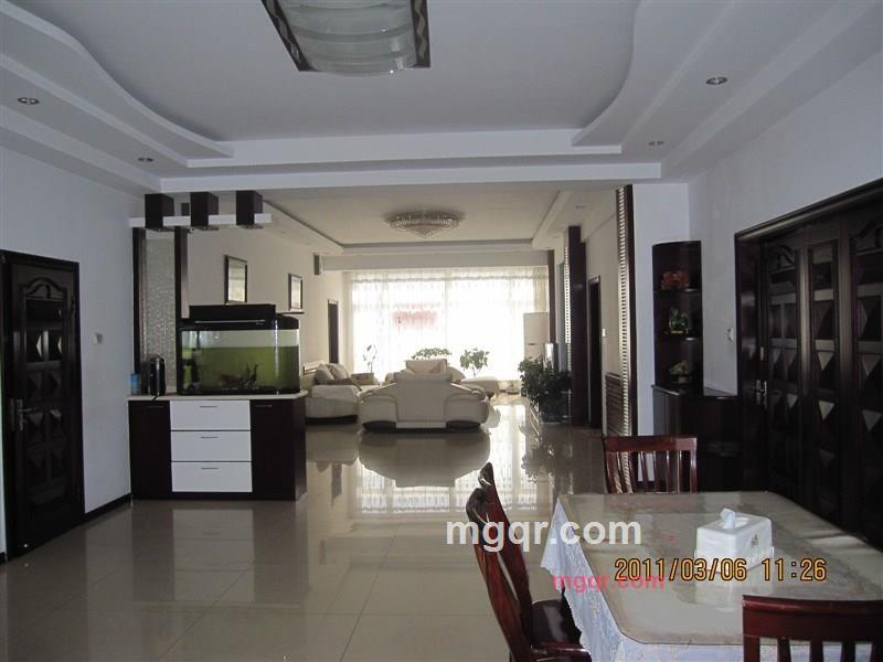 飞翔高高的第4张照片