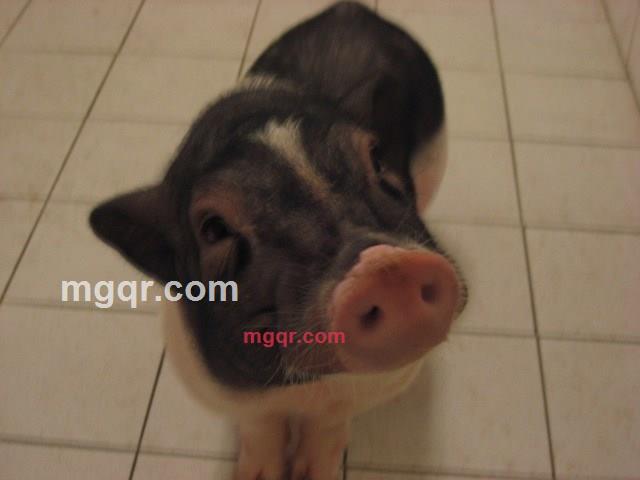 陽光小P的第4张照片