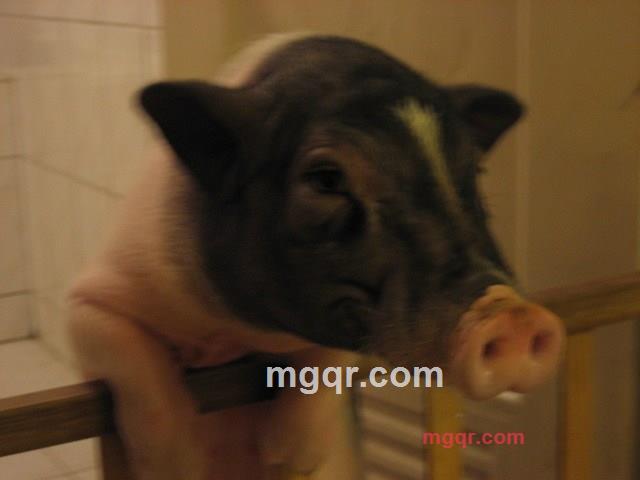 陽光小P的第3张照片