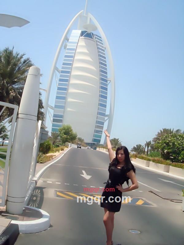 优雅玫瑰的第1张照片