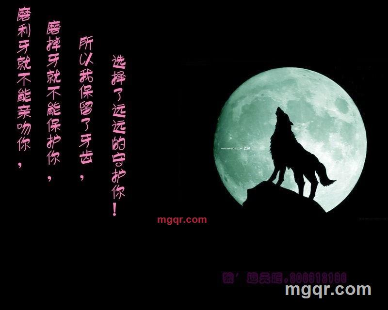 八郎的第1张照片