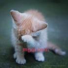 独舞飞天的第1张照片