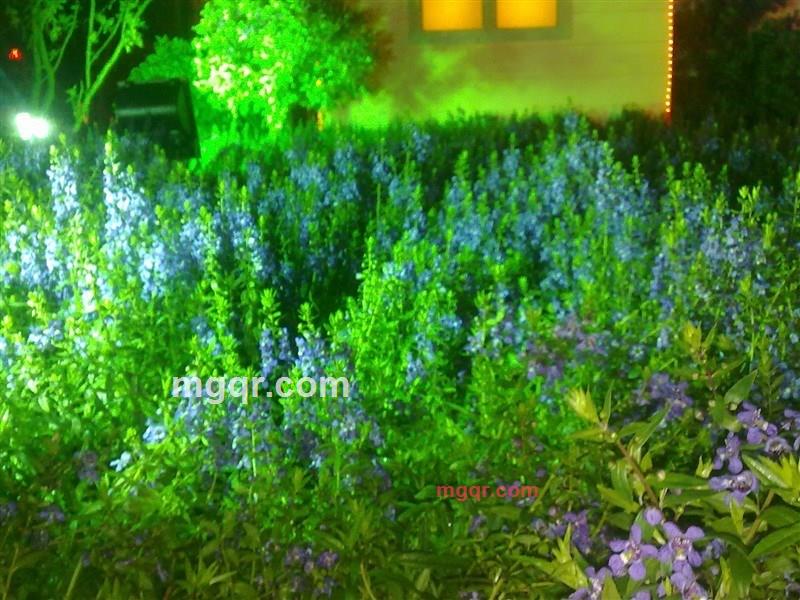 等待你一个的第3张照片