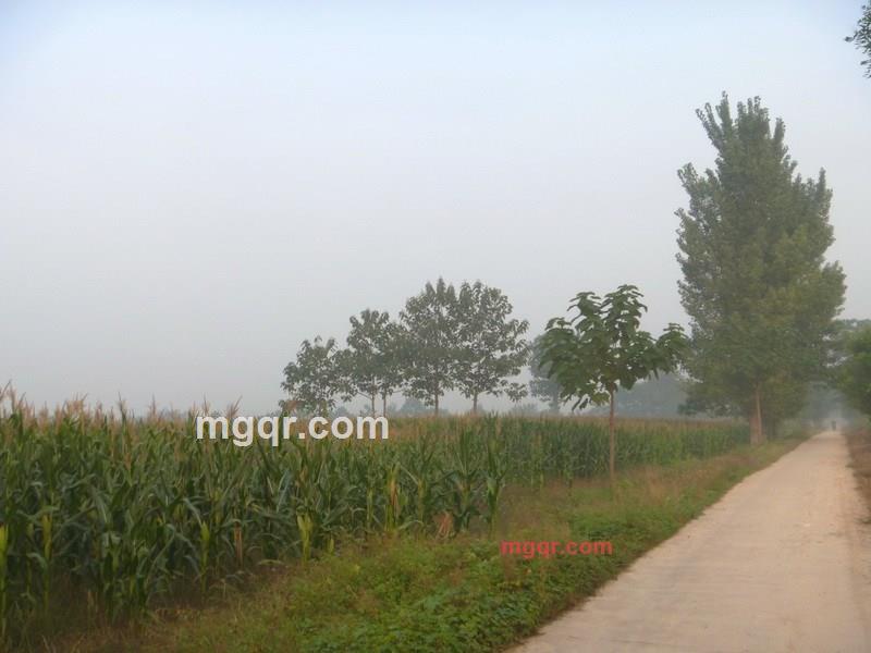 王哥88的第6张照片