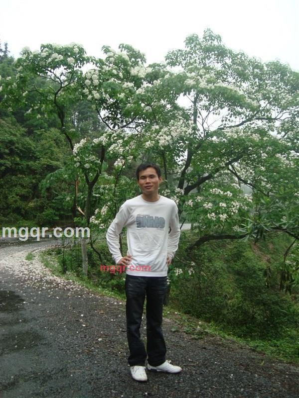 宝德2398的第1张照片